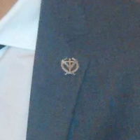 Insignia