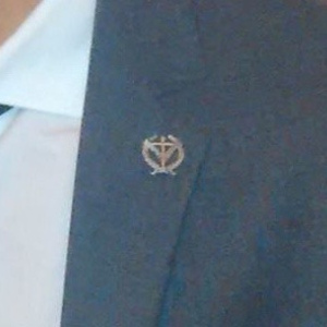 Insignia